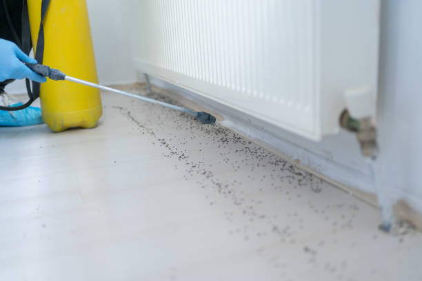Best Cockroach Control Services  in Humboldt, KS