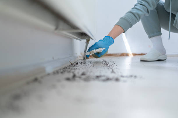 Best Commercial Pest Control Services  in Humboldt, KS